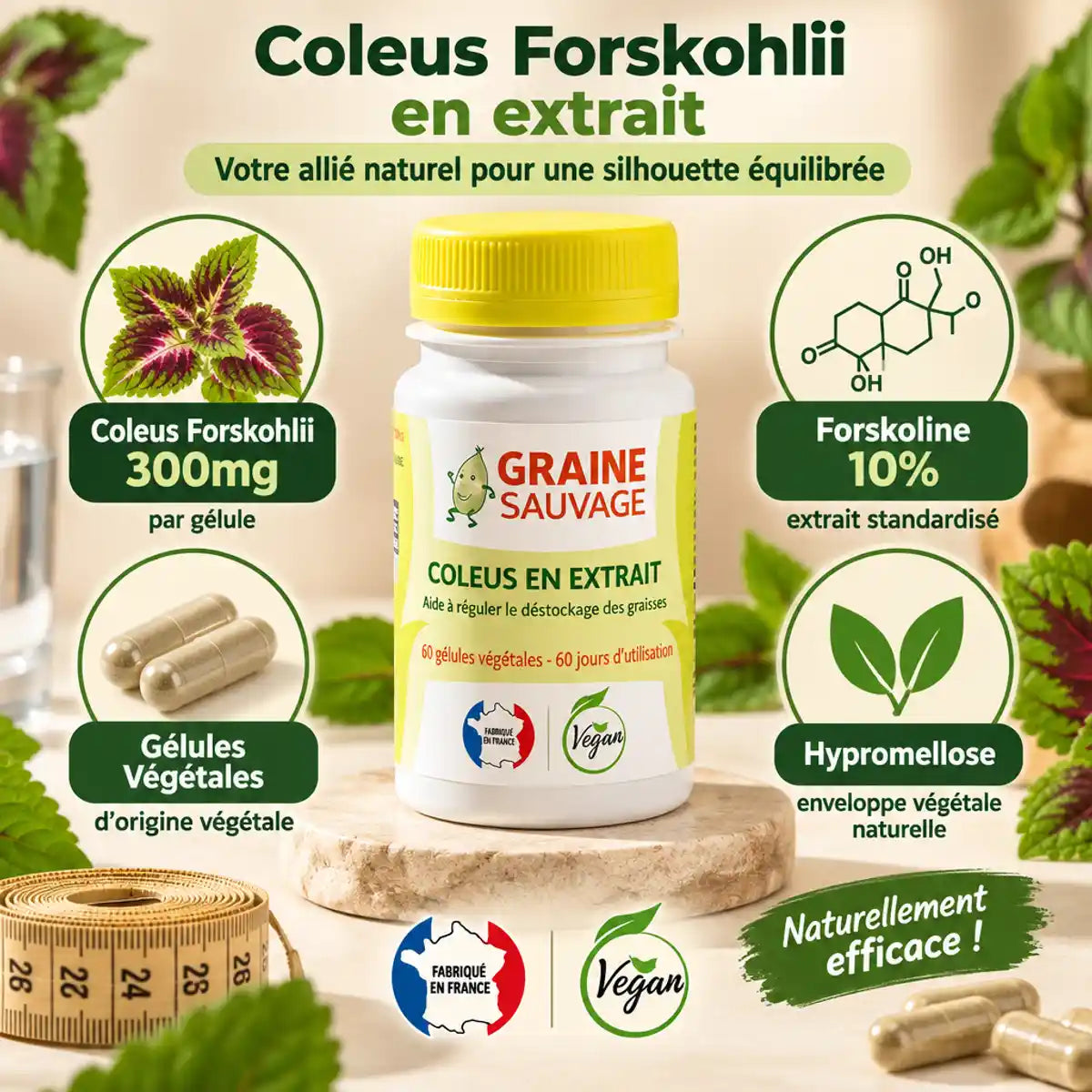Coleus Forskohlii extrait 60 gélules Graine Sauvage avec ingrédients et certifications Fabriqué France