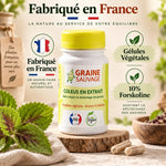 Coleus Forskohlii extrait 60 gélules Graine Sauvage, complément français premium en flacon blanc
