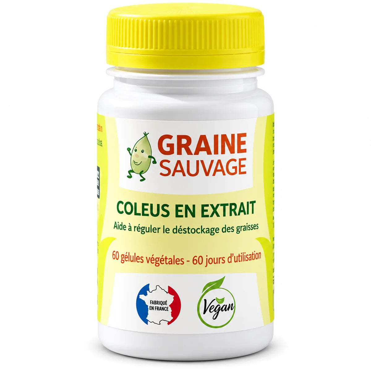 Bouteille Coleus Forskohlii extrait 60 gélules Graine Sauvage, complément alimentaire vegan français