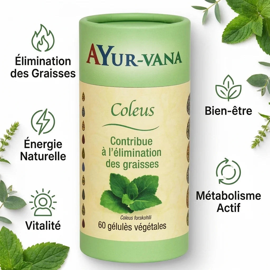 Coleus Forskohlii Ayur-Vana brûleur de graisses naturel 60 gélules avec bénéfices bien-être