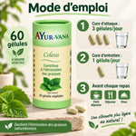 Coleus forskohlii Ayur-Vana 60 gélules mode d'emploi posologie brûleur de graisses naturel