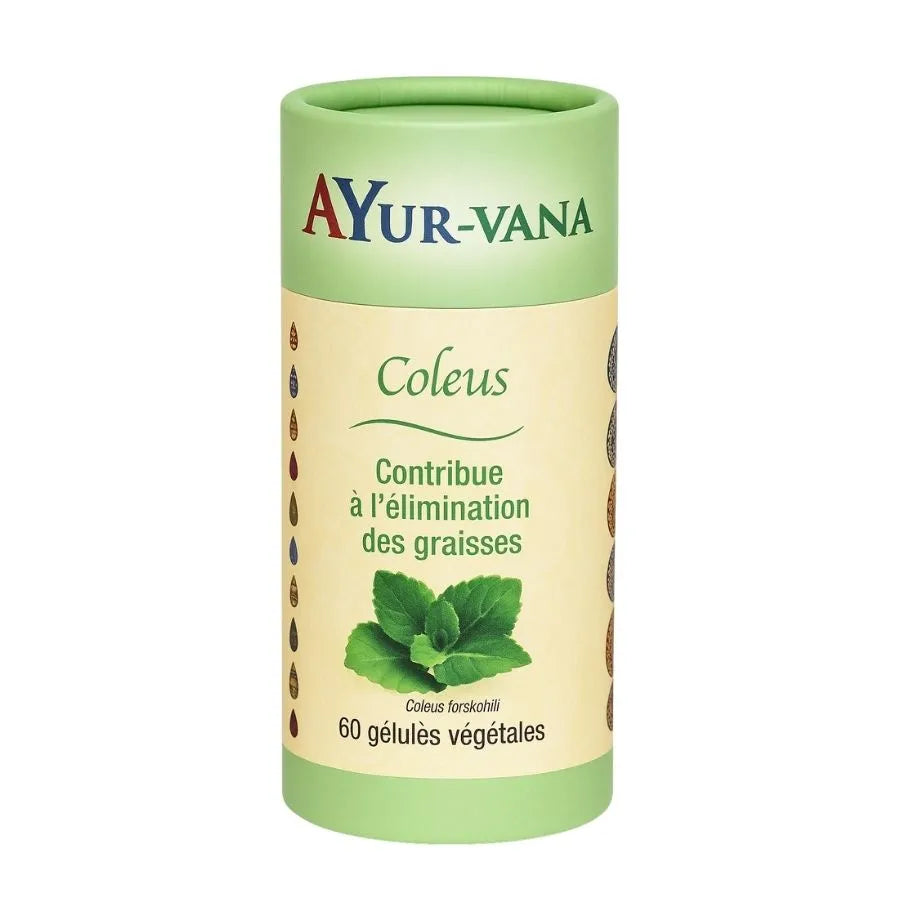 Une boite de 60 gélules de Coleus forskohlii (Forskoline) Ayur-Vana, un brûleur de Graisses naturel