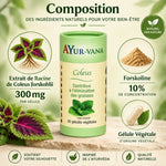 Coleus forskohlii Ayur-Vana 60 gélules brûleur de graisses naturel avec forskoline 10%