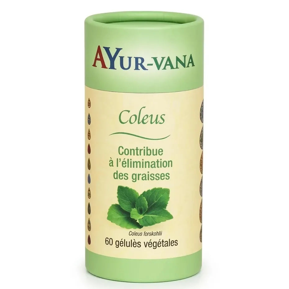 Coleus forskohlii Ayur-Vana 60 gélules brûleur de graisses naturel packaging