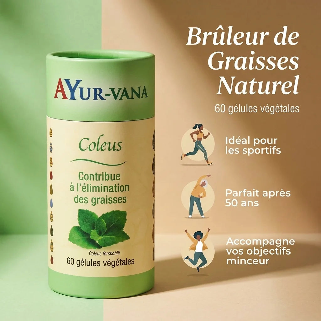 Coleus forskohlii Ayur-Vana 60 gélules brûleur de graisses naturel avec silhouettes d'utilisateurs cibles