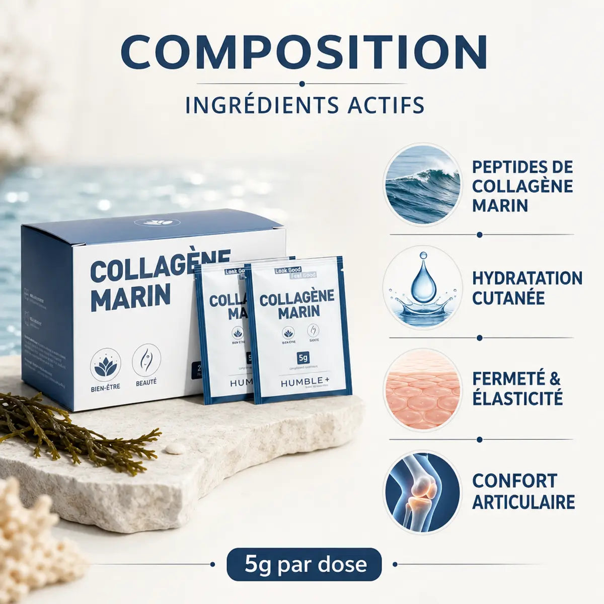 Sachet collagène marin Humble+ 5g - Composition peptides, hydratation cutanée, fermeté et confort articulaire