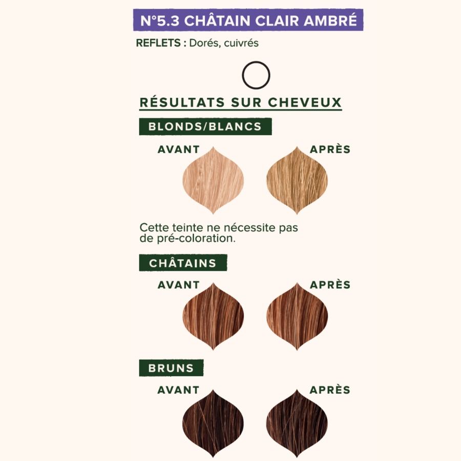 Les résultats attendus sur cheveux après application de la Coloration Cheveux Végétale Châtain clair ambré Emblica, selon la teinte initiale des cheveux