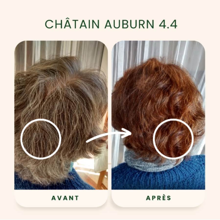 Une autre Photo avant après application de la Coloration Cheveux Végétale Châtain foncé auburn Emblica
