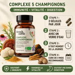 Complexe 5 champignons French Mush 56 gélules avec instructions d'utilisation pour immunité et vitalité
