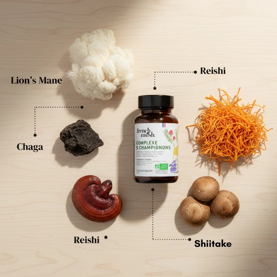Les 5 champignons contenus dans le complexe et leurs bienfaits