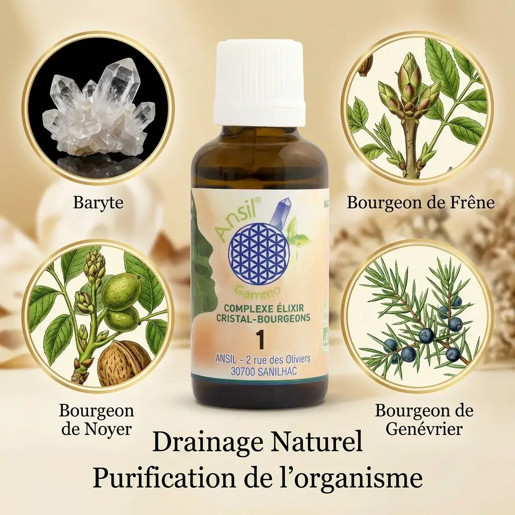 Flacon Ansil Complexe bio Baryte Frêne Noyer Genévrier 30ml avec ingrédients botaniques et logo Fleur de Vie