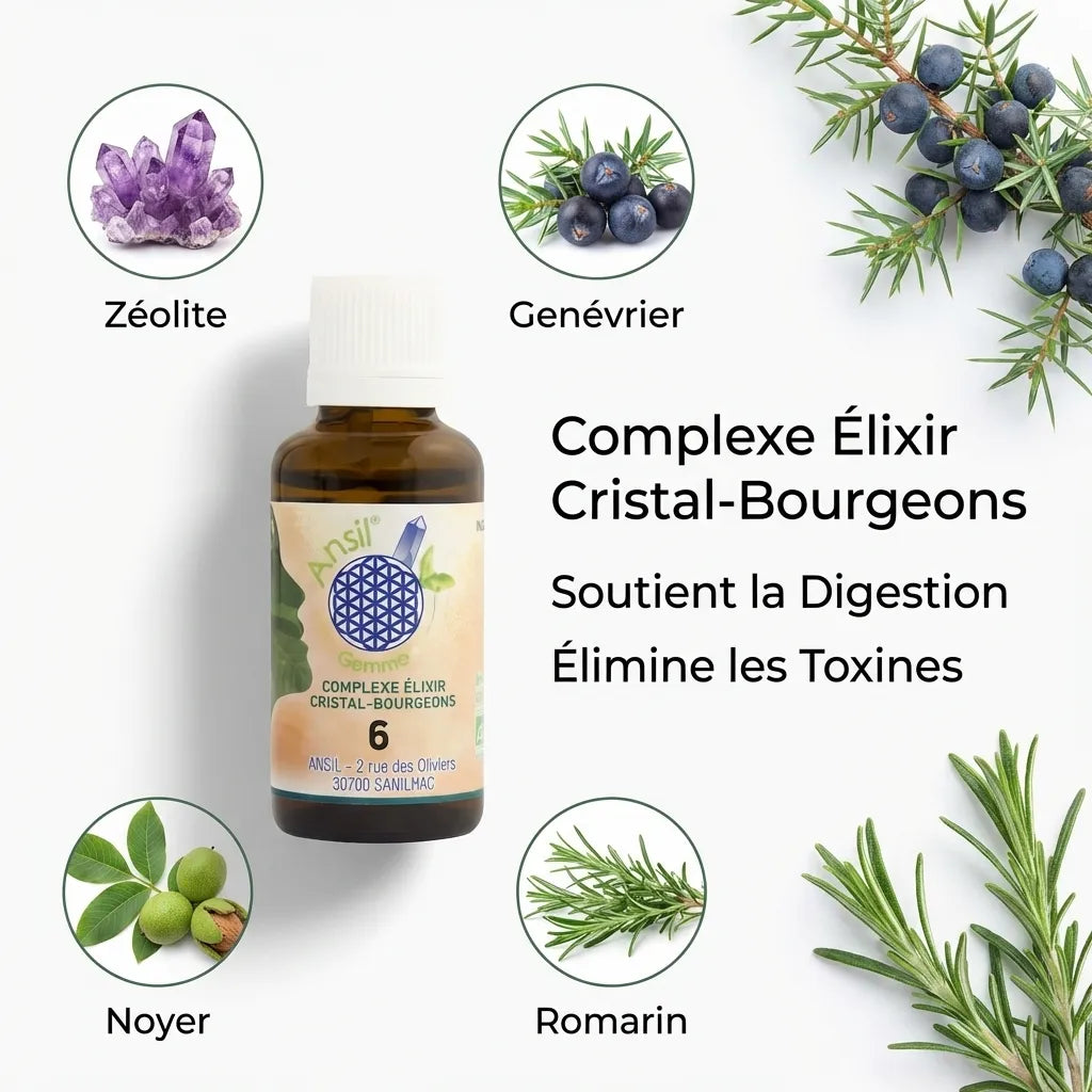 Complexe bio Ansil 30ml avec Zéolite, Genévrier, Noyer et Romarin pour la digestion et détoxification