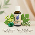 Complexe bio Émeraude Tilleul Figuier Romarin 30ml Ansil - flacon verre ambré avec ingrédients naturels