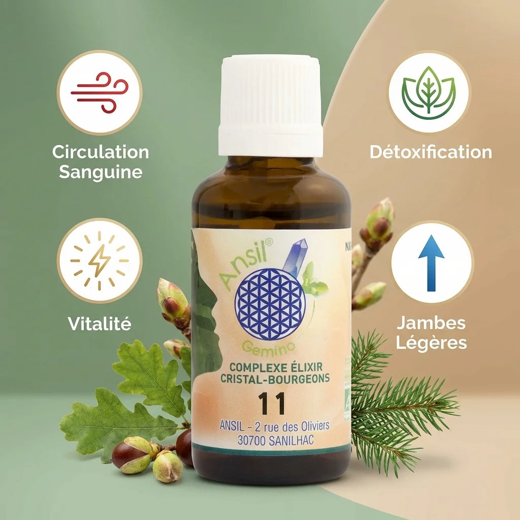 Complexe bio Grenat Chêne Marronnier Sapin 30ml Ansil circulation vitalité jambes légères