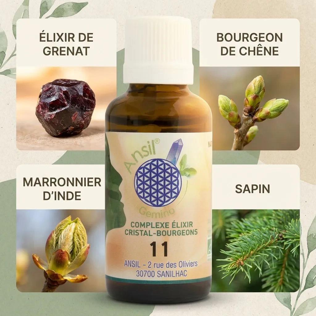 Complexe bio Grenat, Chêne, Marronnier d'Inde et Sapin 30ml Ansil avec ingrédients naturels