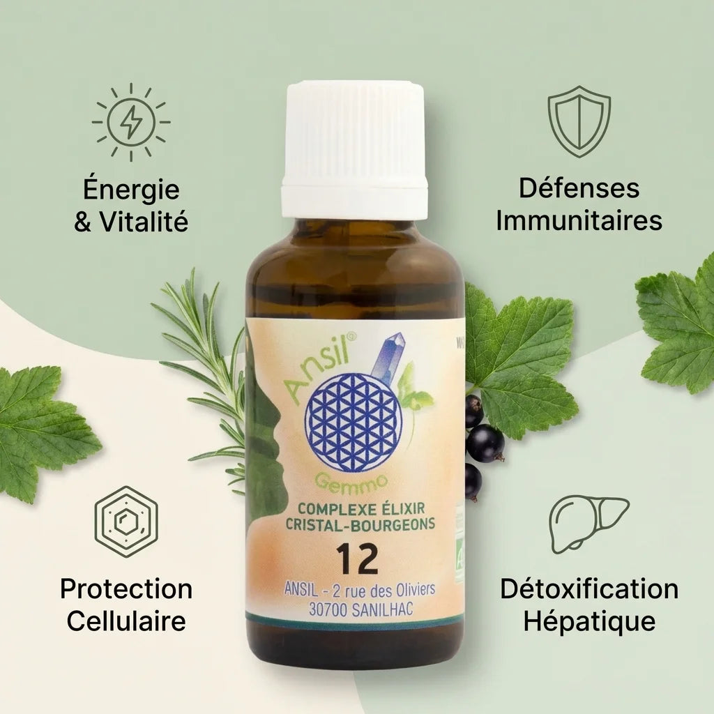 Complexe bio Magnétique Ronce Cassis Romarin 30ml Ansil avec bénéfices santé