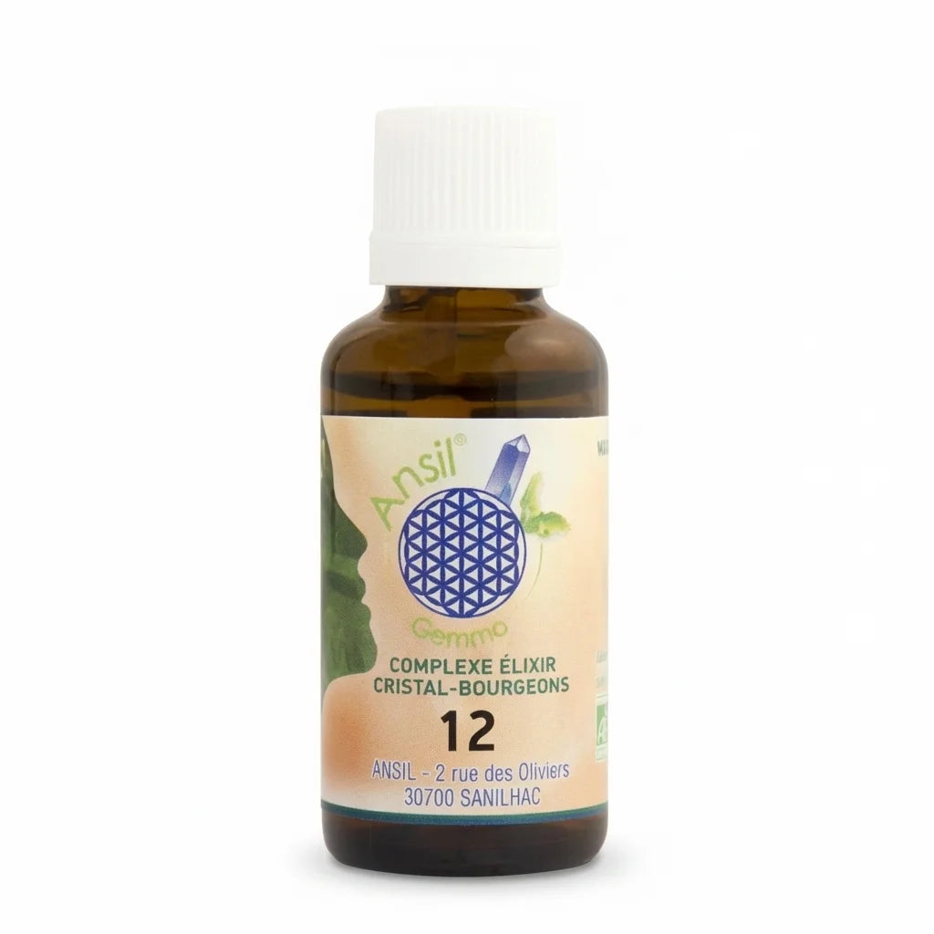 Complexe bio Magnétique flacon 30ml Ansil - Ronce Cassis Romarin