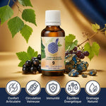 Complexe Bio n°9 ANSIL bouteille avec bouleau, cassis, raisin et bénéfices santé articulaire, circulation, immunité