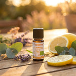 Flacon Été Tranquille Citronnelle Bio Florame 10ml avec citrons et lavande