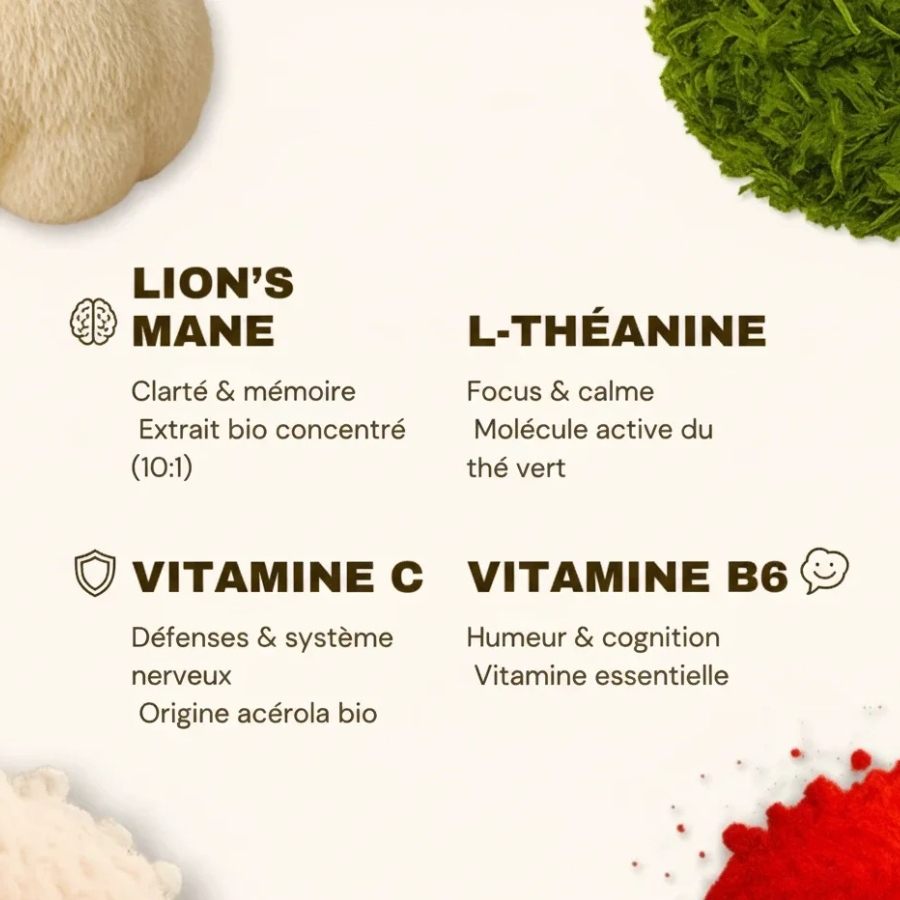 Composition des gummies au Lion's mane de chez French Mush