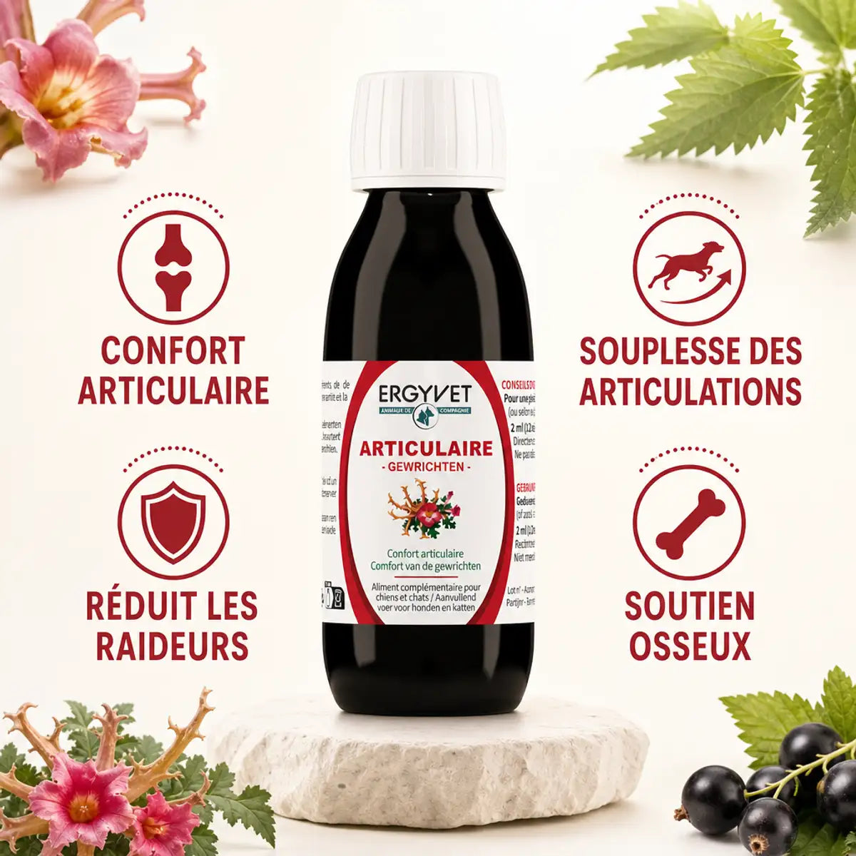 Ergyvet Confort Articulaire 100ml - Bouteille produit avec bénéfices articulations chien chat