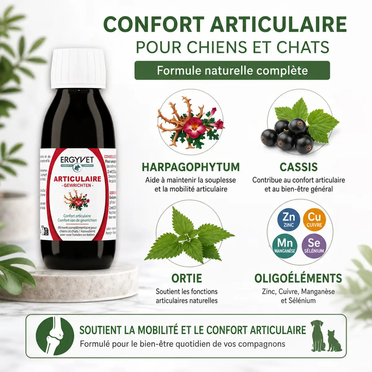 Ergyvet Confort Articulaire 100ml avec ingrédients naturels Harpagophytum Cassis Ortie pour chien chat