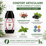 Ergyvet Confort Articulaire 100ml avec ingrédients naturels Harpagophytum Cassis Ortie pour chien chat