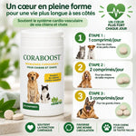 Coraboost supplément cardiaque chien chat - posologie comprimés étapes dosage vétérinaire