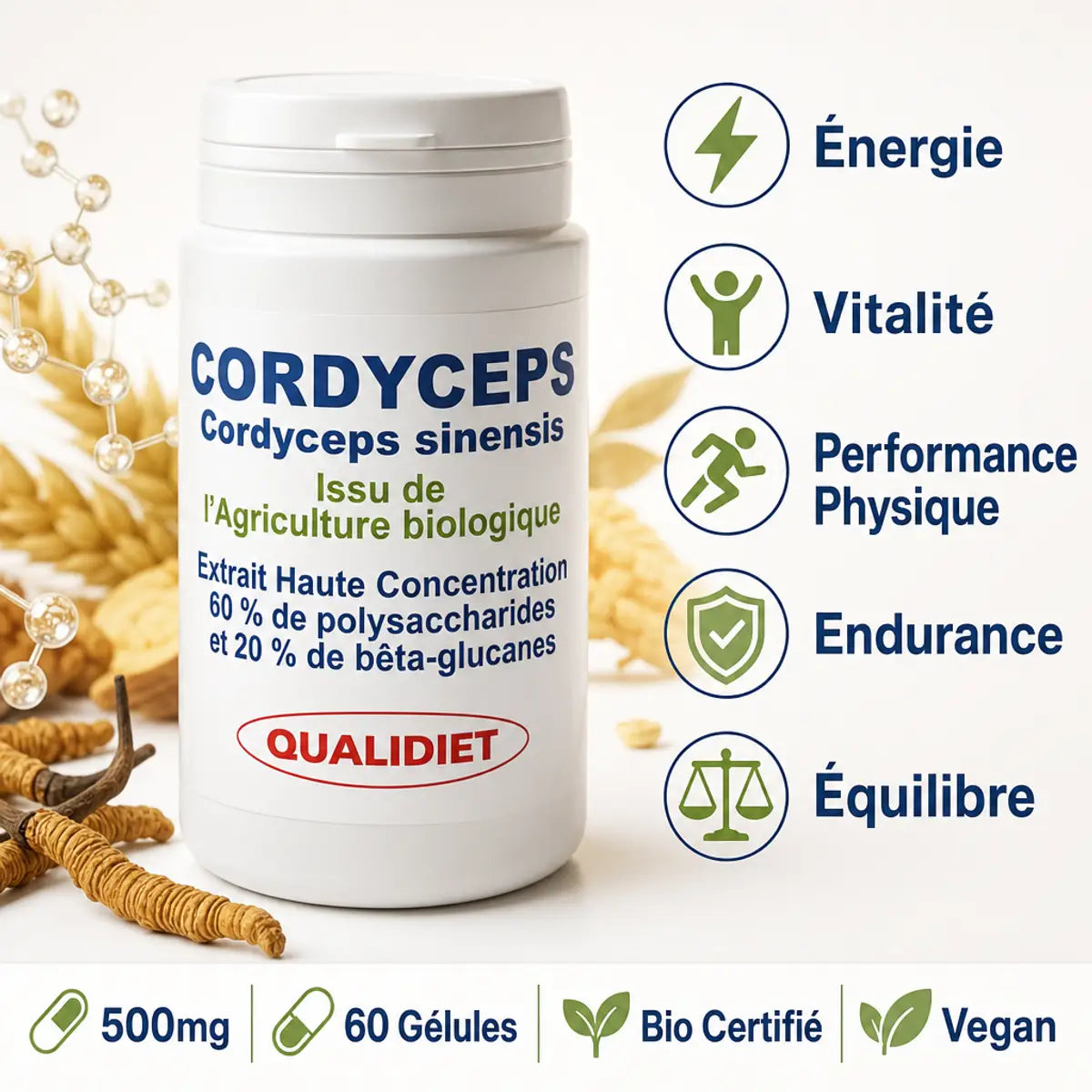 Cordyceps bio 500mg 60 gélules Qualidiet - Flacon avec bénéfices énergie et vitalité