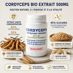 Cordyceps bio extrait 500mg Qualidiet - Flacon 60 gélules avec ingrédients naturels et bêta-glucanes