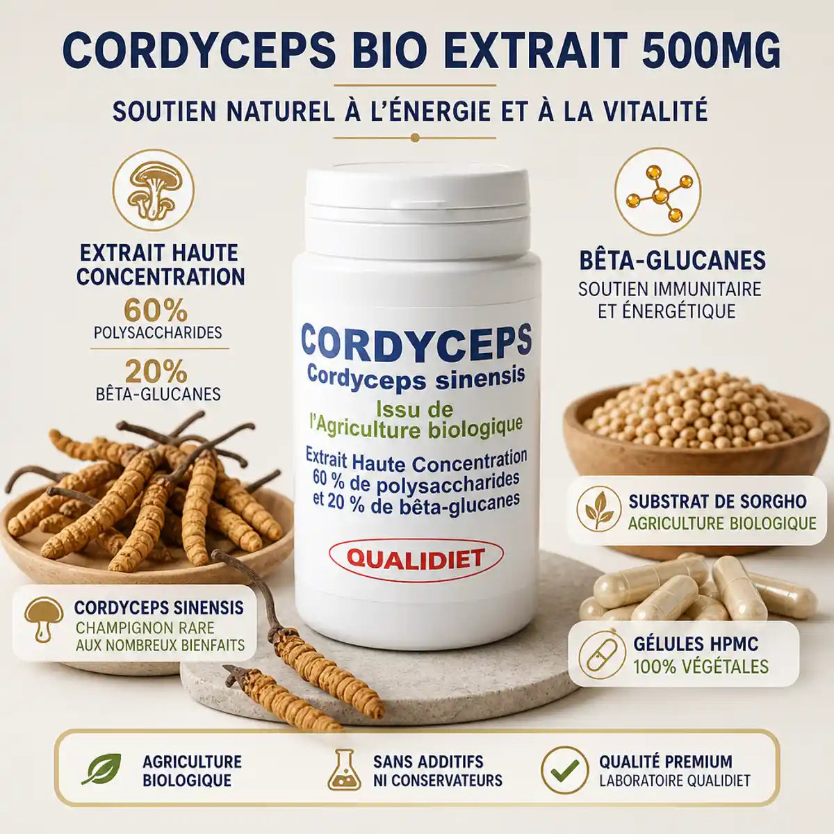 Cordyceps bio extrait 500mg Qualidiet - Flacon 60 gélules avec ingrédients naturels et bêta-glucanes