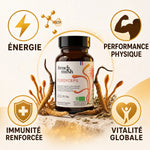 Flacon Cordyceps French Mush avec champignons séchés - Booster d'énergie naturel, performance et immunité