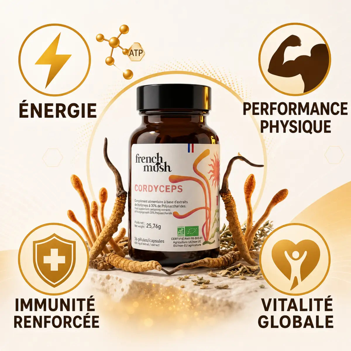 Flacon Cordyceps French Mush avec champignons séchés - Booster d'énergie naturel, performance et immunité