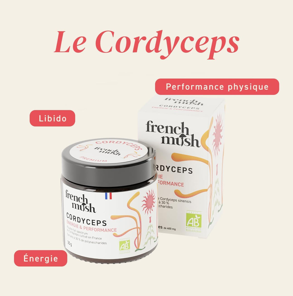 Les bienfaits du cordyceps French Mush