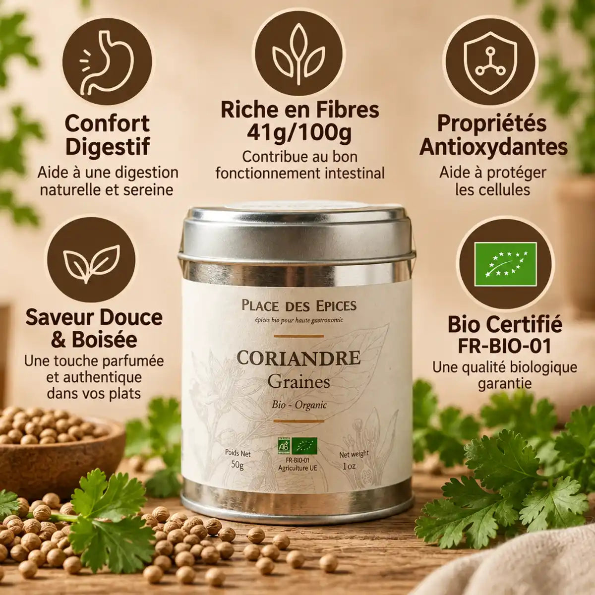 Coriandre graines bio 50g Place des épices en boîte métallique avec feuilles fraîches et infographie bénéfices
