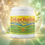 Créacholine Jade Recherche 120 gélules - supplément cerveau et mémoire en flacon avec étiquette jaune-vert