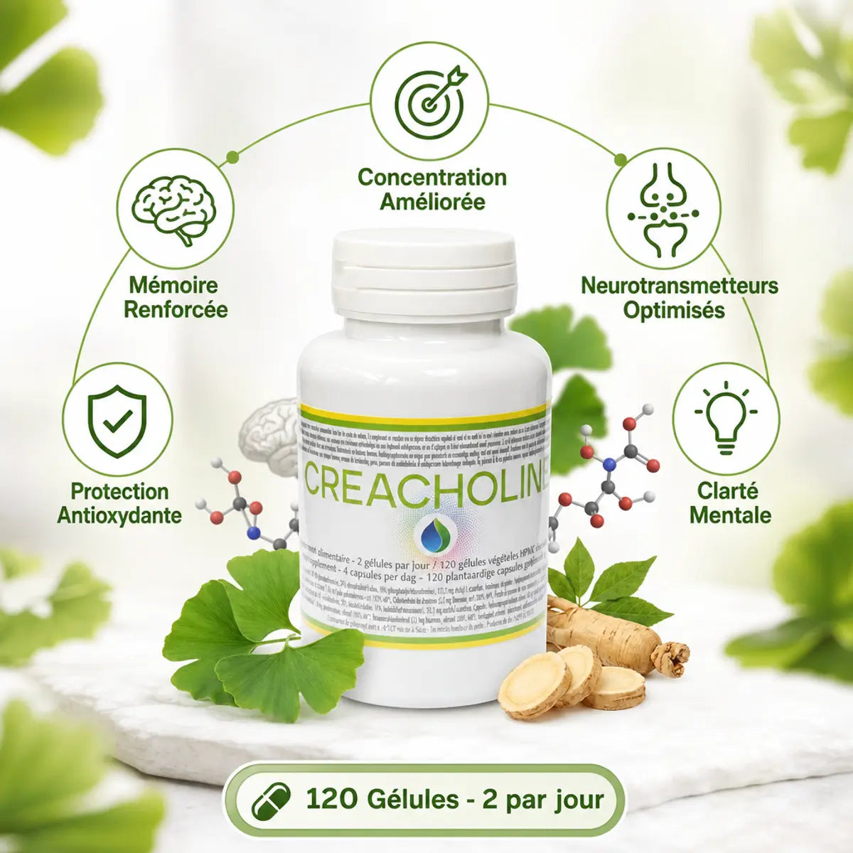 Créacholine Jade Recherche 120 gélules avec bénéfices : mémoire, concentration, antioxydants et clarté mentale