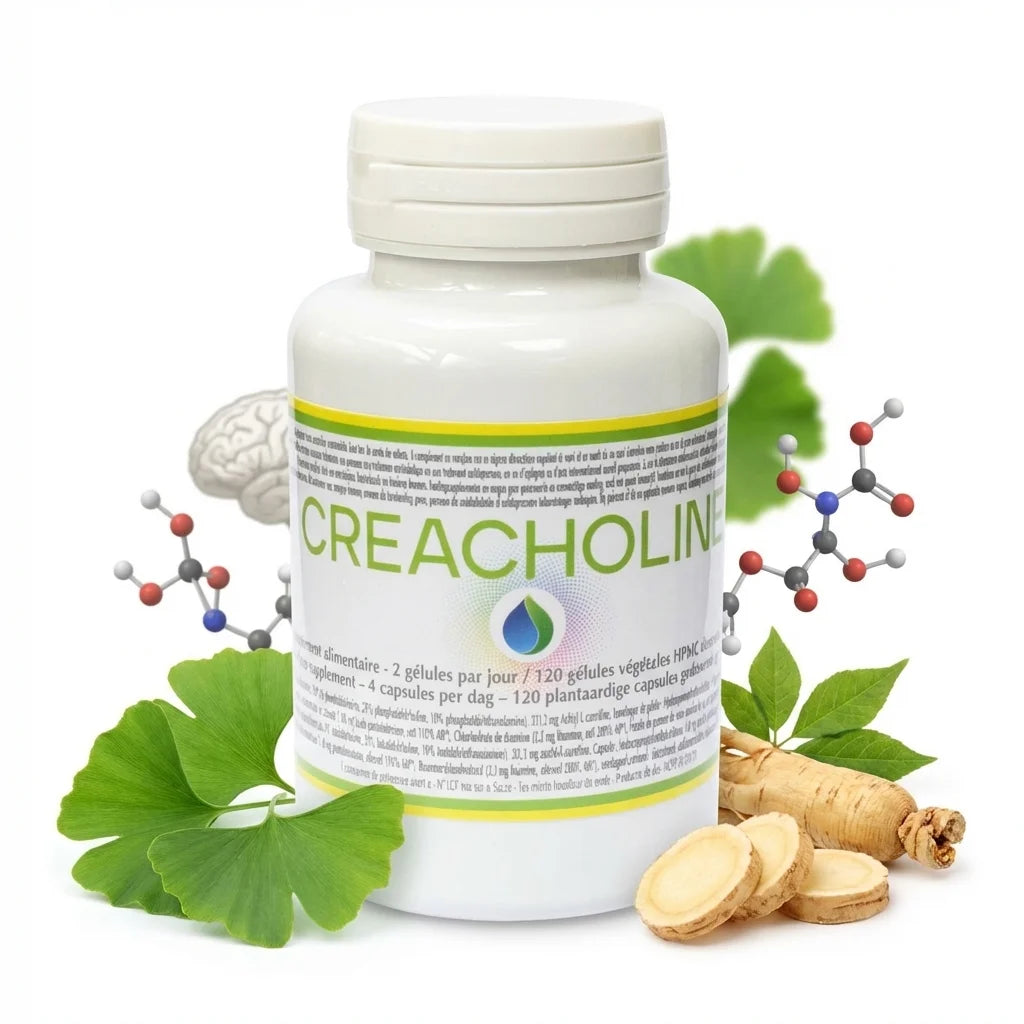 Créacholine Jade Recherche 120 gélules pour stimuler cerveau avec ingrédients naturels ginkgo ginseng