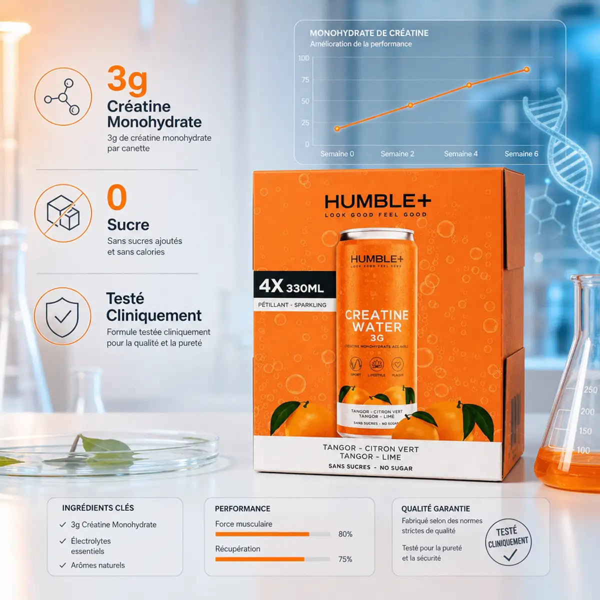 Créatine Water Humble+ 4x330ml pack avec infographie: 3g créatine monohydrate, 0 sucre, testé cliniquement