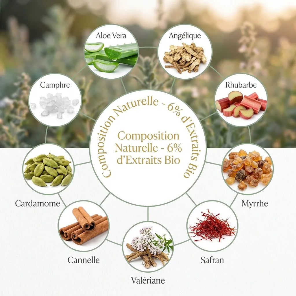 Crème Élixir du Suédois Dr. Theiss - infographie ingrédients naturels et botaniques
