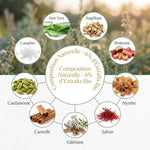 Crème Élixir du Suédois Dr. Theiss - infographie ingrédients naturels et botaniques