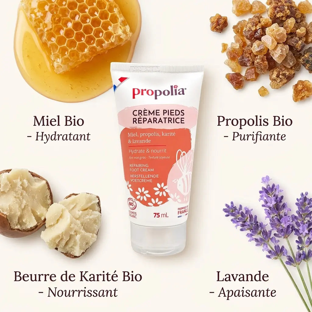 Crème pieds secs Propolia tube 75ml miel propolis karité lavande bio ingrédients