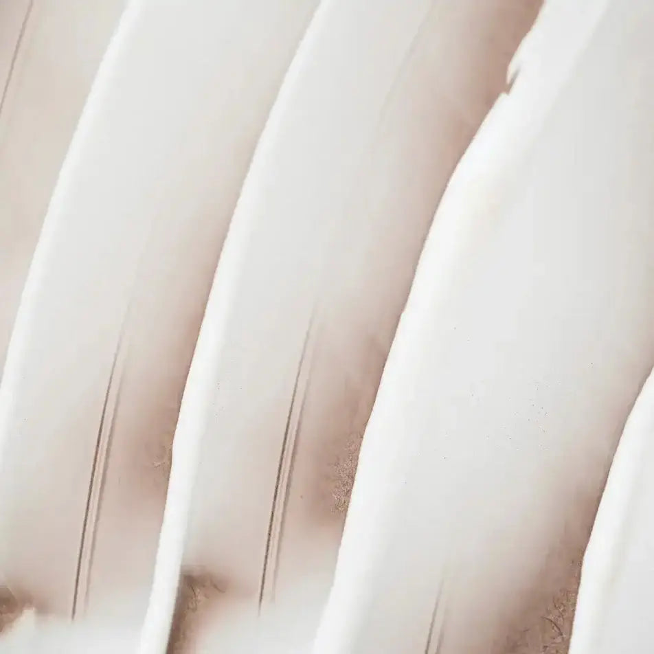 La texture de la crème visage nourrissante de 50 ml de la marque Endro