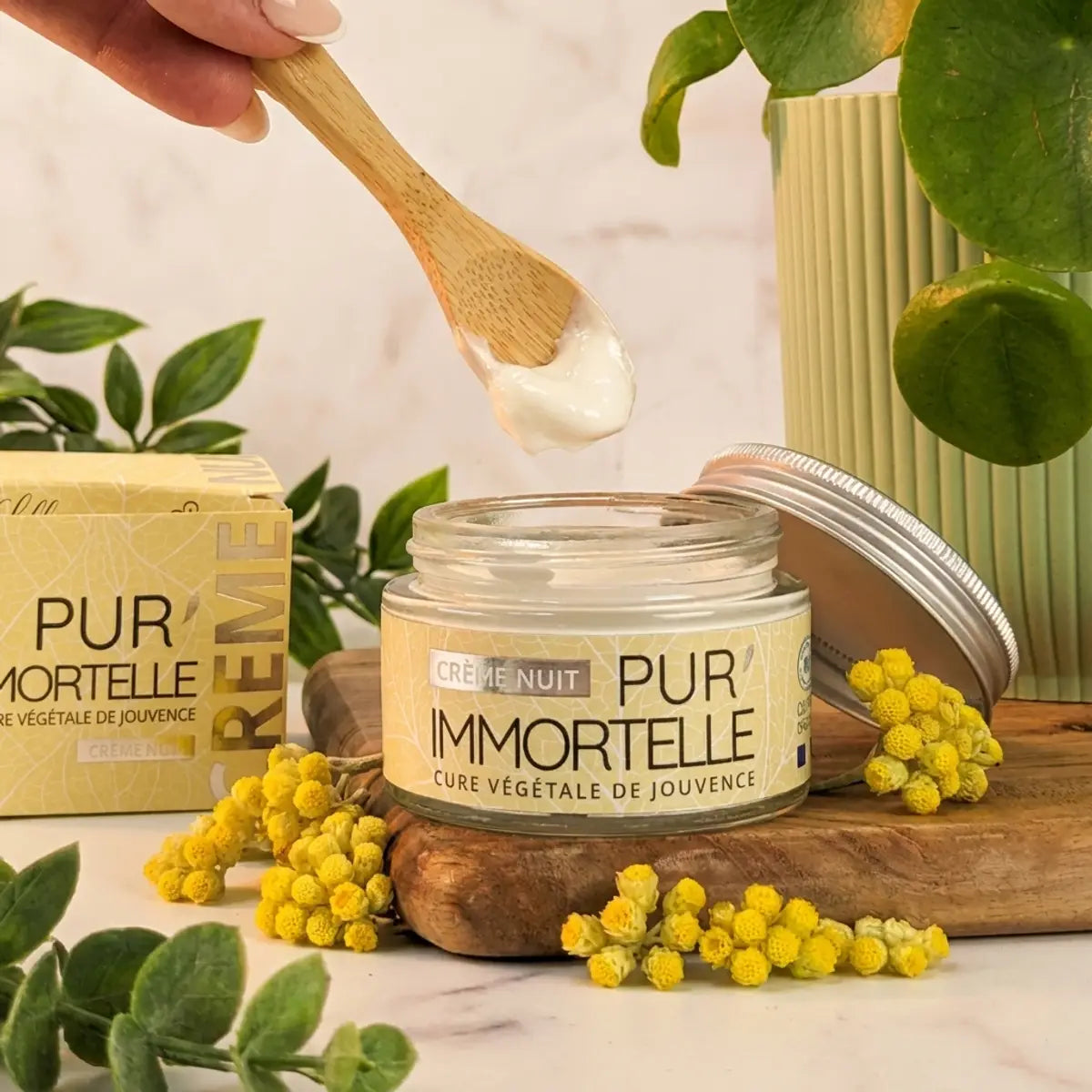 Crème visage nuit bio Pur'Immortelle 50ml avec fleurs d'immortelle fraîches et texture crémeuse