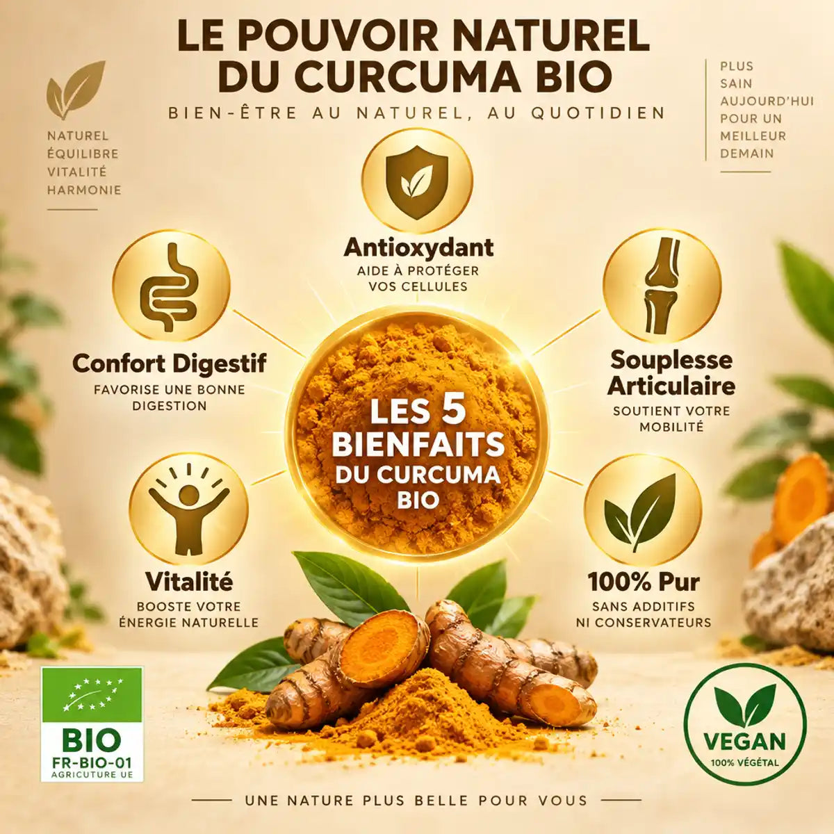 Curcuma bio poudre - 5 bénéfices antioxydant digestif articulaire vitalité certifié BIO vegan