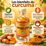 Flacon de curcuma bio AyurVana 50 g entouré de rhizomes frais, avec les bienfaits : digestion, articulations, antioxydant naturel