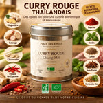 Curry Rouge Thaïlandais Chiang Mai Bio 50g Place des Épices avec ingrédients botaniques et certification Bio