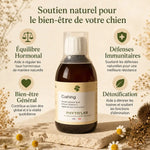 Cushing Dogs 250ml traitement naturel équilibre hormonal et bien-être pour chiens