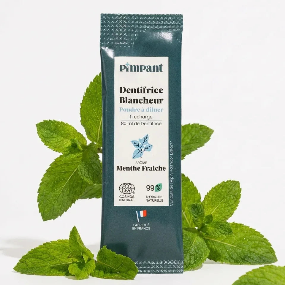 Poudre dentifrice blancheur menthe fraîche Pimpant 8g avec feuilles de menthe