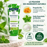 Dentifrice dents sensibles Coslys bio menthe propolis - tube 75ml avec ingrédients naturels